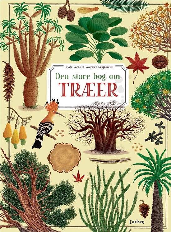 Cover for Wojciech Grajkowski; Piotr Socha · Den store bog om træer (Bound Book) [1th edição] (2021)