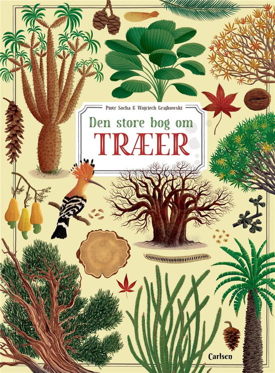 Cover for Wojciech Grajkowski; Piotr Socha · Den store bog om træer (Gebundesens Buch) [1. Ausgabe] (2021)