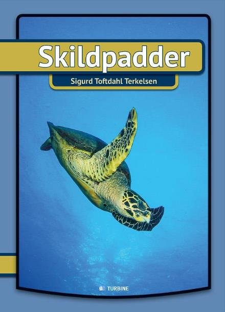 Cover for Sigurd Toftdahl Terkelsen · Min første bog: Skildpadder (Gebundenes Buch) [1. Ausgabe] (2017)