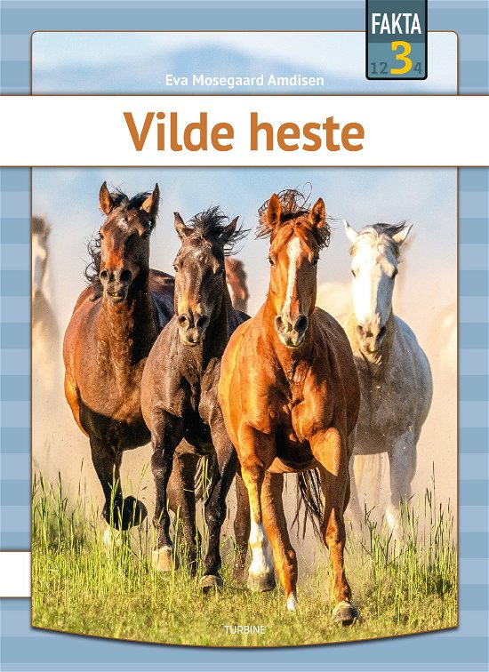 Cover for Eva Mosegaard Amdisen · Fakta 3: Vilde heste (Hardcover Book) [1e uitgave] (2024)