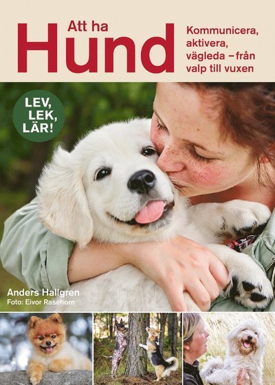 Cover for Anders Hallgren · Att ha hund : kommunicera, aktivera, vägleda - från valp till vuxen (Bound Book) (2021)
