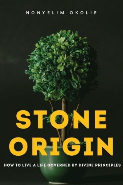 Cover for Nonyelim Okolie · Stone Origin (Paperback Book) (2020)