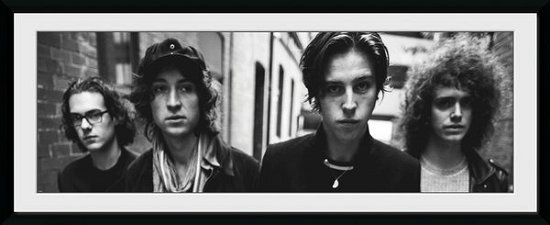 Cover for Catfish And The Bottlemen · Catfish And The Bottlemen - Band (Stampa in Cornice 30x75cm) (MERCH)