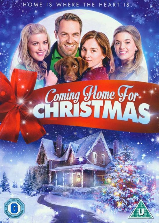 Cover for Unk · Coming Home for Christmas (DVD) (2015)