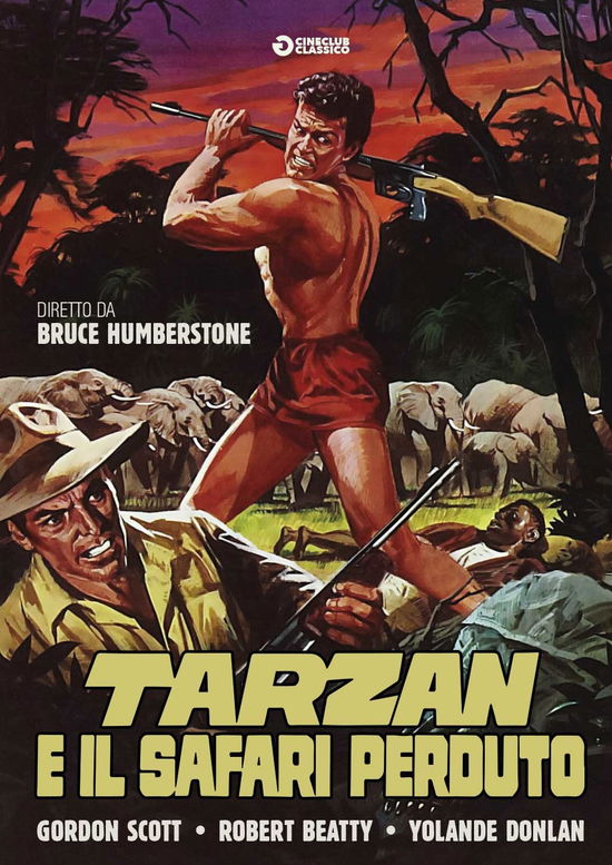 Cover for Tarzan E Il Safari Perduto (DVD) (2017)