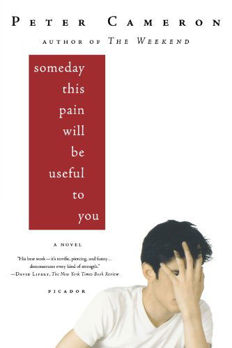 Cover for Peter Cameron · Someday This Pain Will Be Useful to You: A Novel (Pocketbok) [Reprint edition] (2009)