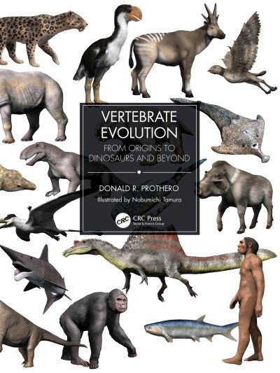 Cover for Donald R. Prothero · Vertebrate Evolution: From Origins to Dinosaurs and Beyond (Paperback Book) (2022)