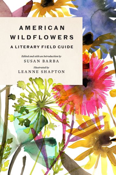 Cover for Leanne Shapton · American Wildflowers: A Literary Field Guide (Inbunden Bok) (2022)