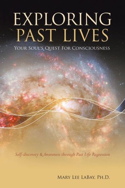 Exploring Past Lives - Mary Lee LaBay - Books - Trafford Publishing - 9781425176167 - July 17, 2008