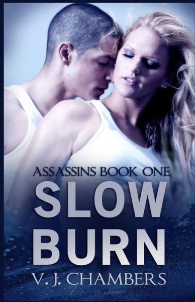 Cover for V J Chambers · Slow Burn (Paperback Book) (2013)