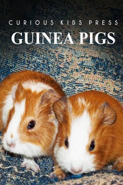 Cover for Curious Kids Press · Guinea Pigs - Curious Kids Press (Paperback Book) (2014)