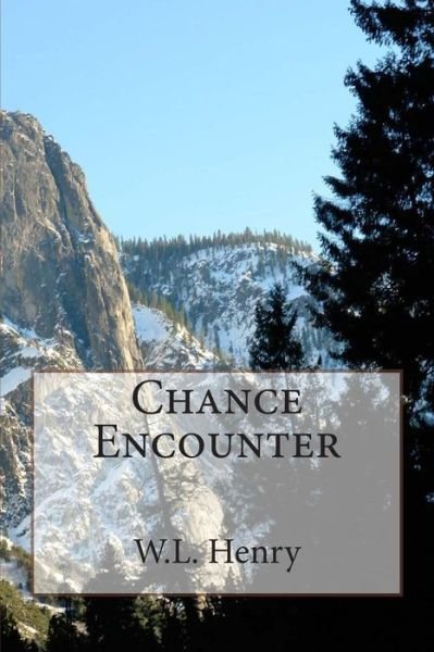 Cover for W L Henry · Chance Encounter (Paperback Book) (2014)