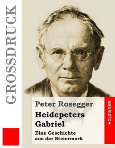 Cover for Peter Rosegger · Heidepeters Gabriel Eine Geschichte aus der Steiermark (Paperback Book) (2016)