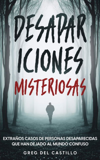 Desapariciones Misteriosas - Greg Castillo - Books - Maria Fernanda Moguel Cruz - 9781646946167 - August 12, 2021