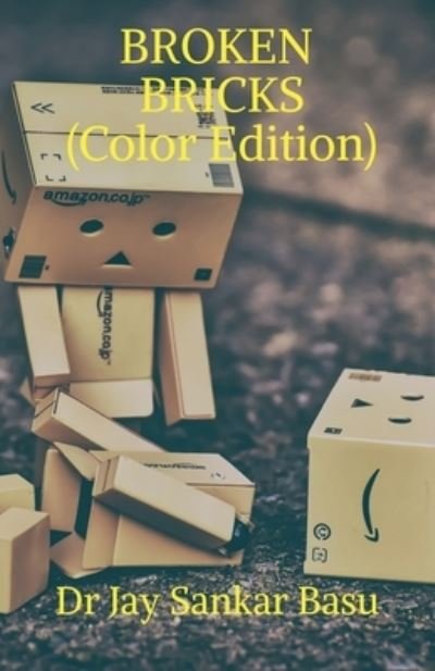 Cover for Jay · Broken Bricks (Bok) [Color edition] (2020)