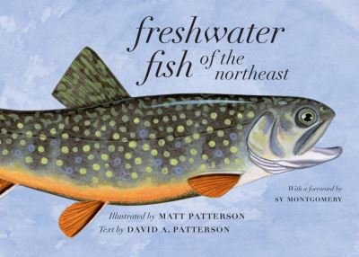 Cover for David A. Patterson · Freshwater Fish of the Northeast (Paperback Book) [Second edition] (2024)