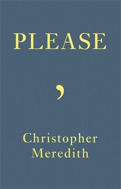 Cover for Christopher Meredith · Please (Paperback Book) (2021)