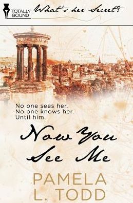 Cover for Pamela L Todd · Now You See Me (Pocketbok) (2014)