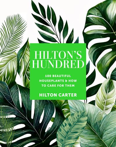 Cover for Hilton Carter · Hilton's Hundred (Hardcover Book) (2025)