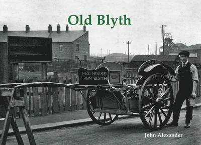 Old Blyth - John Alexander - Boeken - Stenlake Publishing - 9781840337167 - 13 juli 2015