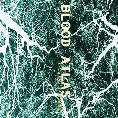 Cover for Lynne Desilva-Johnson · Blood Atlas (Paperback Book) (2017)