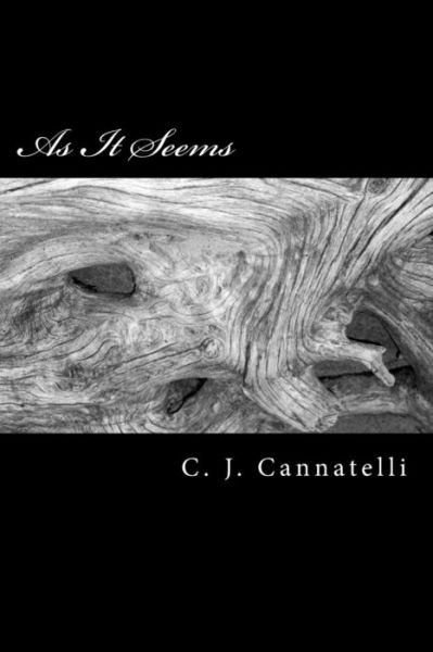 Cover for C J Cannatelli · As It Seems (Pocketbok) (2018)