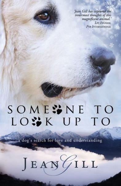 Cover for Jean Gill · Someone to Look Up to (Paperback Book) (2016)