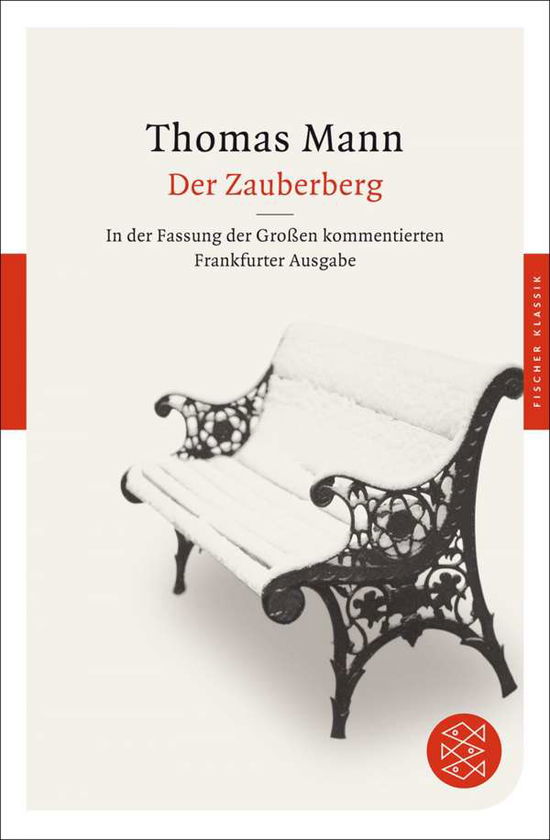 Fischer TB.90416 Mann:Der Zauberberg - Thomas Mann - Boeken -  - 9783596904167 - 2012