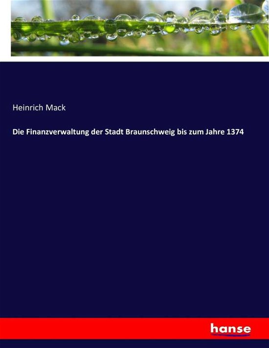 Die Finanzverwaltung der Stadt Bra - Mack - Bücher -  - 9783743427167 - 2. Januar 2017