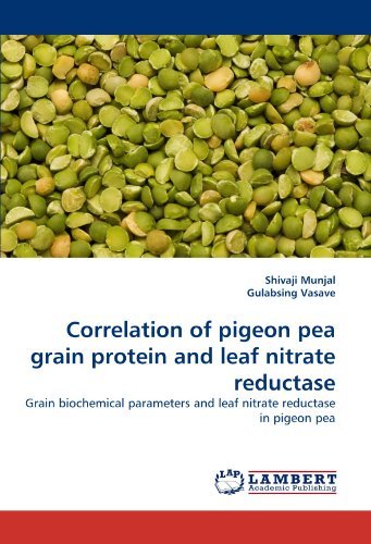 Cover for Gulabsing Vasave · Correlation of Pigeon Pea Grain Protein and Leaf Nitrate Reductase: Grain Biochemical Parameters and Leaf Nitrate Reductase in Pigeon Pea (Paperback Book) (2011)