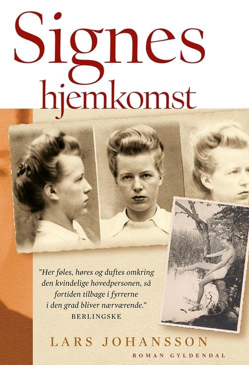 Maxi-paperback: Signes hjemkomst - Lars Johansson - Bøker - Gyldendal - 9788702184167 - 1. mars 2016