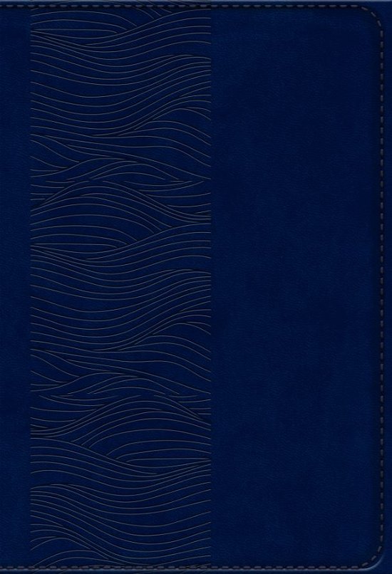 Cover for Bibelen på Hverdagsdansk, navy, PU (Hardcover Book) (2023)