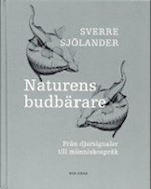 Cover for Sverre Sjölander · Naturens budbärare - Från djursignaler till människospråk (Map) (2002)