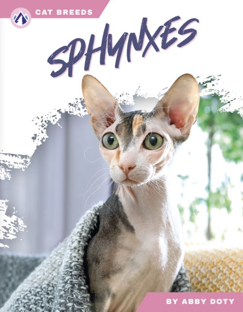 Cover for Abby Doty · Sphynxes - Cat Breeds (Inbunden Bok) (2025)