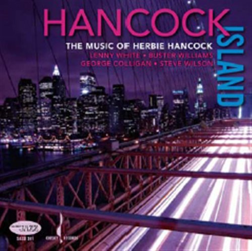 Hancock Island: Music of Herbie Hancock - White,lenny / Williams,buster / Wilson,steve - Musik - CHESKY - 0090368034168 - 18. november 2008