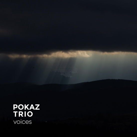 Pokaz Trio · Voices (LP) (2024)