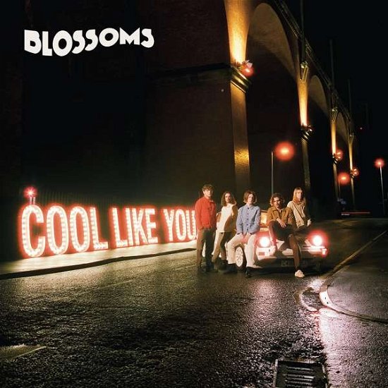 Cover for Blossoms · Cool Like You (CD) (2018)