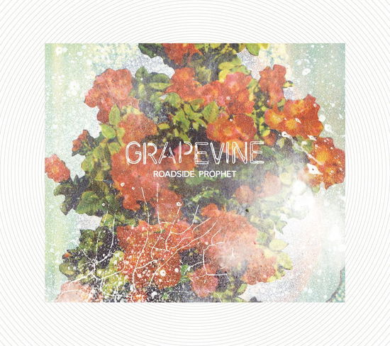 Cover for Grapevine · Roadside Prophet &lt;limited&gt; (CD) [Japan Import edition] (2017)