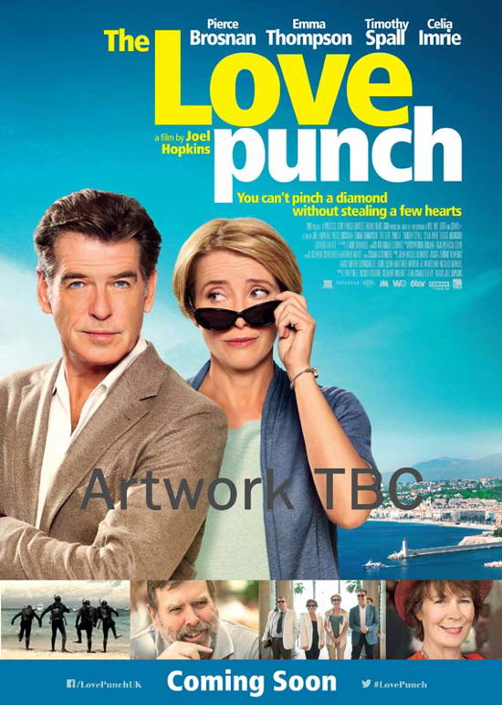 The Love Punch - Love Punch DVD - Film - E1 - 5030305517168 - 18. august 2014