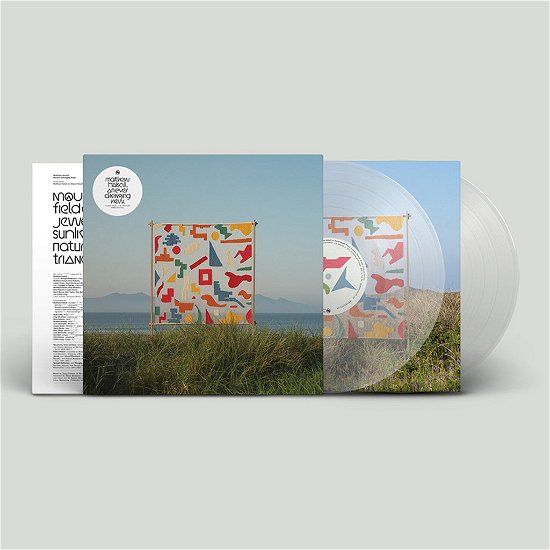 Cover for Matthew Halsall · An Ever Changing View (LP) [Clear vinyl edition] (2023)