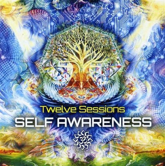 Cover for Twelve Sessions · Self Awareness (CD) (2013)