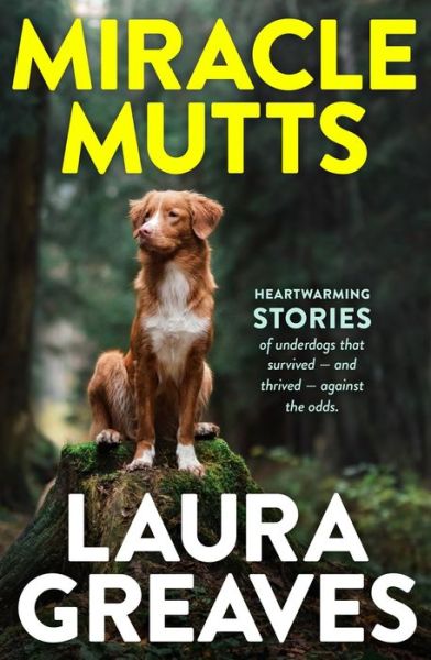 Cover for Laura Greaves · Miracle Mutts (Paperback Book) (2019)