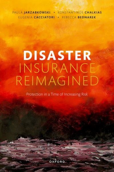 Cover for Jarzabkowski, Paula (Professor of Strategic Management, Professor of Strategic Management, University of Queensland and City, University of London) · Disaster Insurance Reimagined: Protection in a Time of Increasing Risk (Hardcover Book) (2023)