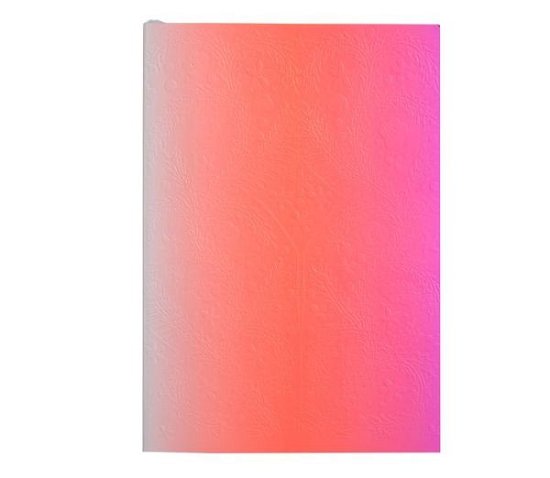 Cover for Christian Lacroix · Christian Lacroix Neon Pink A5 8&quot; X 6&quot; Ombre Paseo Notebook (Papperier) (2016)