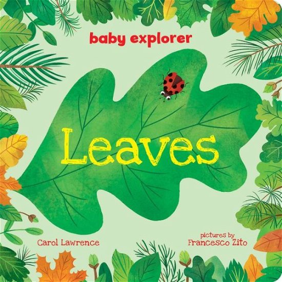 Cover for Carol Lawrence · Leaves - Baby Explorer (Board book) (2018)