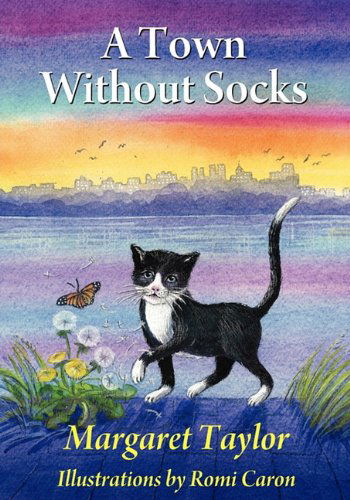 Cover for Margaret Taylor · A Town Without Socks (Paperback Book) (2011)