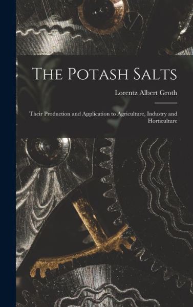 Cover for Lorentz Albert Groth · Potash Salts (Book) (2022)