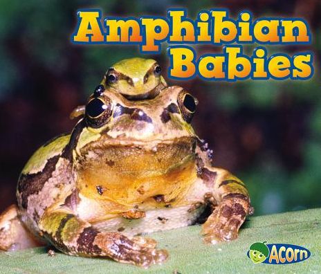 Cover for Catherine Veitch · Amphibian Babies (Animal Babies) (Paperback Book) (2013)