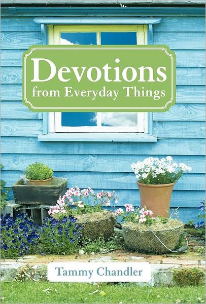 Cover for Tammy Chandler · Devotions from Everyday Things (Hardcover Book) (2011)