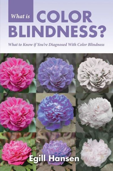 Cover for Egill Hansen · What is Color Blindness?: What to Know if You're Diagnosed with Color Blindness (Pocketbok) (2013)